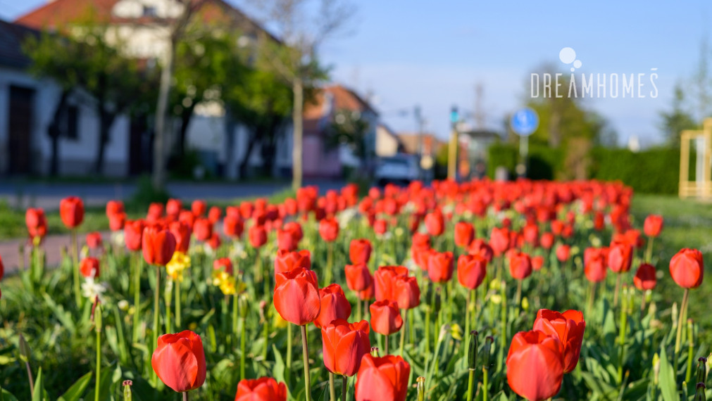 PREDAJ - Pekný pozemok v tichej časti Vajnory + novostavba